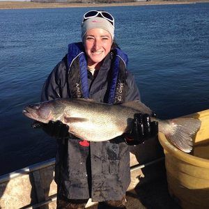 Meet your Posher, Paige